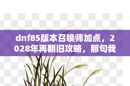 dnf85版本召唤师加点，2028年再翻旧攻略，那句我护你的伏笔，让我鼻子一酸