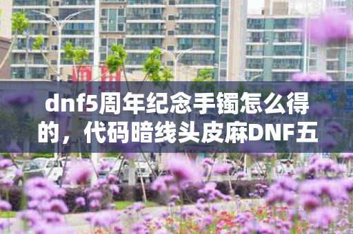 dnf5周年纪念手镯怎么得的，代码暗线头皮麻DNF五周年手镯代码量破译，社恐指挥官的虚拟王座