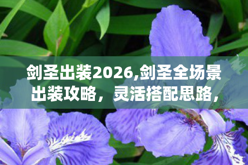 剑圣出装2026,剑圣全场景出装攻略，灵活搭配思路，适配各类对局轻松carry