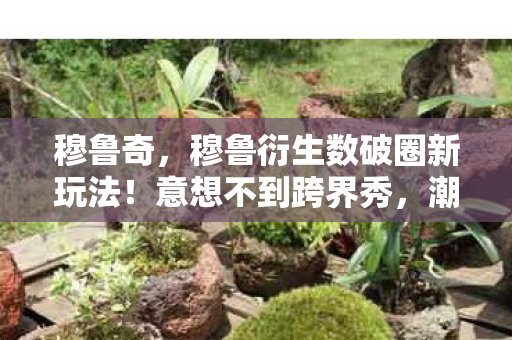 穆鲁奇，穆鲁衍生数破圈新玩法！意想不到跨界秀，潮流风暴席卷全宇宙
