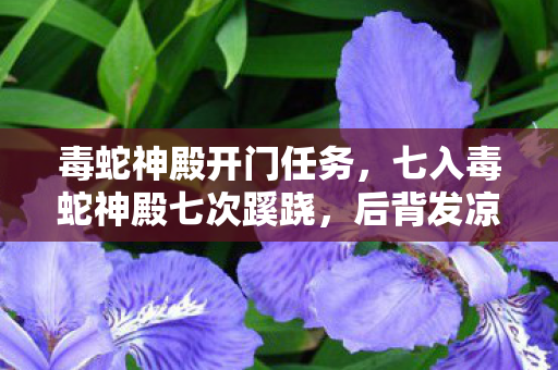 毒蛇神殿开门任务，七入毒蛇神殿七次蹊跷，后背发凉，十年逃亡竟是场拙劣表演