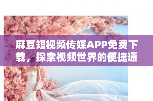 麻豆短视频传媒APP免费下载图片