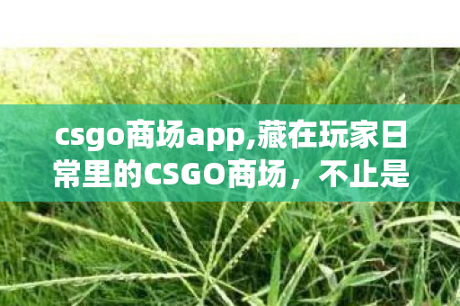 csgo商场app,藏在玩家日常里的CSGO商场,不止是交易,更是同好的情绪自留地 csgo商场app,藏在玩家日常里的CSGO商场,不止是交易,更是同好的情绪自留地