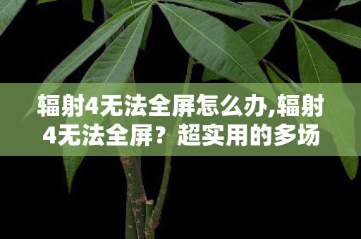 辐射4无法全屏怎么办,辐射4无法全屏?超实用的多场景解决方法汇总 辐射4无法全屏怎么办,辐射4无法全屏?超实用的多场景解决方法汇总