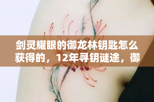 剑灵耀眼的御龙林钥匙怎么获得的,12年寻钥谜途,御龙林钥匙的泪目真相 剑灵耀眼的御龙林钥匙怎么获得的,12年寻钥谜途,御龙林钥匙的泪目真相