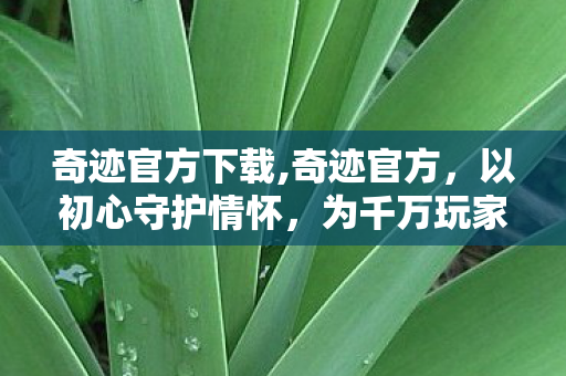 奇迹官方下载,奇迹官方,以初心守护情怀,为千万玩家打造热血家园 奇迹官方下载,奇迹官方,以初心守护情怀,为千万玩家打造热血家园