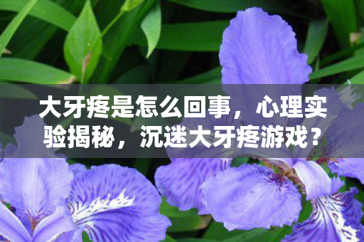 大牙疼是怎么回事，心理实验揭秘，沉迷大牙疼游戏？多巴胺陷阱细思极恐！