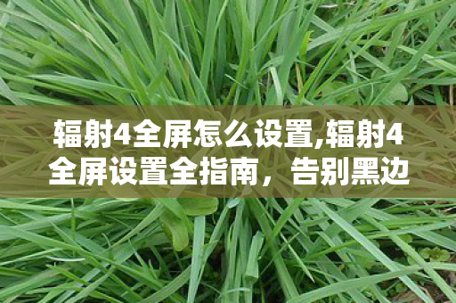 辐射4全屏怎么设置,辐射4全屏设置全指南,告别黑边卡顿,沉浸式畅游废土世界 辐射4全屏怎么设置,辐射4全屏设置全指南,告别黑边卡顿,沉浸式畅游废土世界