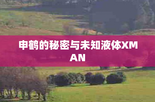 申鹤的秘密与未知液体XMAN图片