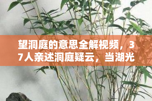 望洞庭的意思全解视频,37人亲述洞庭疑云,当湖光秋月照见网吧泪痕,我绷不住了 望洞庭的意思全解视频,37人亲述洞庭疑云,当湖光秋月照见网吧泪痕,我绷不住了