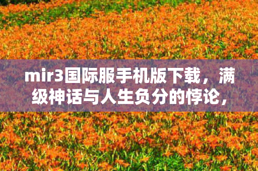 mir3国际服手机版下载,满级神话与人生负分的悖论,mir3私服里的王者,现实中的困兽 mir3国际服手机版下载,满级神话与人生负分的悖论,mir3私服里的王者,现实中的困兽