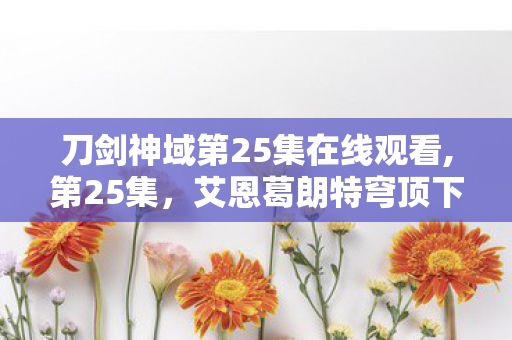 刀剑神域第25集在线观看,第25集,艾恩葛朗特穹顶下的温柔终章 刀剑神域第25集在线观看,第25集,艾恩葛朗特穹顶下的温柔终章