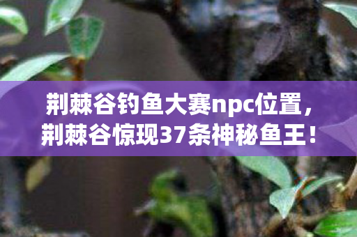 荆棘谷钓鱼大赛npc位置,荆棘谷惊现37条神秘鱼王!老钓手十年追寻竟揭开惊天秘密 荆棘谷钓鱼大赛npc位置,荆棘谷惊现37条神秘鱼王!老钓手十年追寻竟揭开惊天秘密