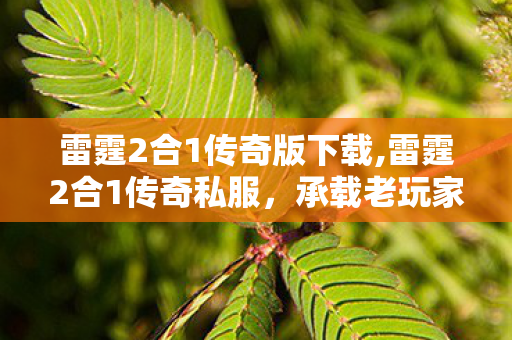 雷霆2合1传奇版下载,雷霆2合1传奇私服,承载老玩家青春回忆的复古乐园 雷霆2合1传奇版下载,雷霆2合1传奇私服,承载老玩家青春回忆的复古乐园