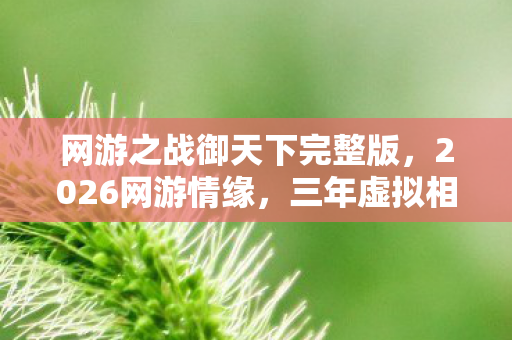网游之战御天下完整版,2026网游情缘,三年虚拟相守,伏笔揭开时,鼻子一酸泪满襟 网游之战御天下完整版,2026网游情缘,三年虚拟相守,伏笔揭开时,鼻子一酸泪满襟