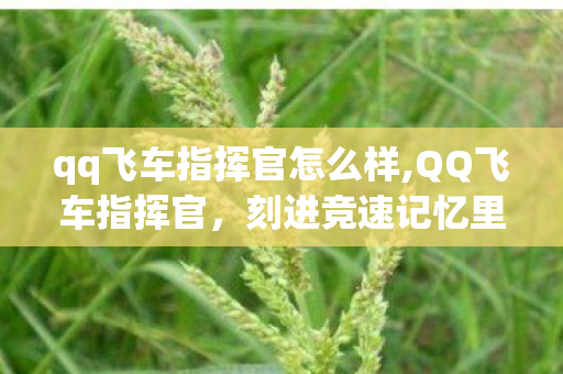 qq飞车指挥官怎么样,QQ飞车指挥官，刻进竞速记忆里的经典速度座驾