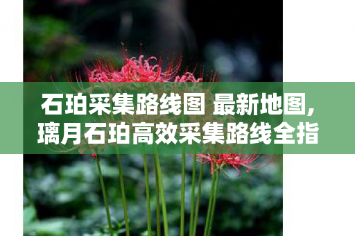 石珀采集路线图 最新地图,璃月石珀高效采集路线全指南 轻松囤够足量角色突破素材 石珀采集路线图 最新地图,璃月石珀高效采集路线全指南 轻松囤够足量角色突破素材