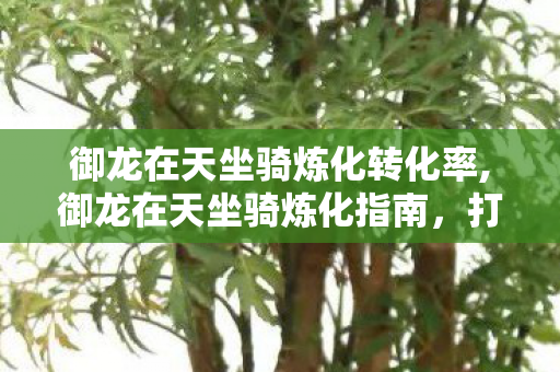 御龙在天坐骑炼化转化率,御龙在天坐骑炼化指南,打造征战三国的专属神驹 御龙在天坐骑炼化转化率,御龙在天坐骑炼化指南,打造征战三国的专属神驹