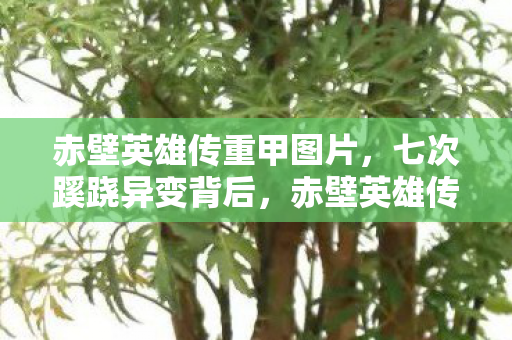 赤壁英雄传重甲图片,七次蹊跷异变背后,赤壁英雄传让我后背发凉! 赤壁英雄传重甲图片,七次蹊跷异变背后,赤壁英雄传让我后背发凉!