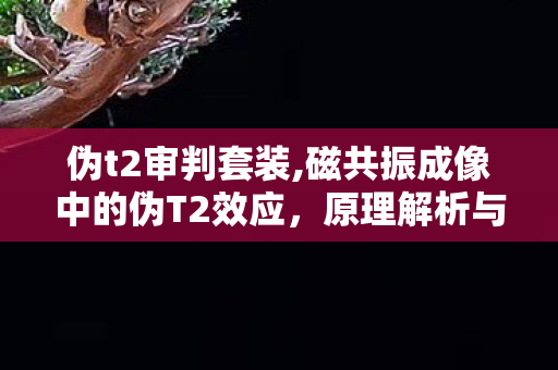 伪t2审判套装,磁共振成像中的伪T2效应,原理解析与临床应用价值 伪t2审判套装,磁共振成像中的伪T2效应,原理解析与临床应用价值