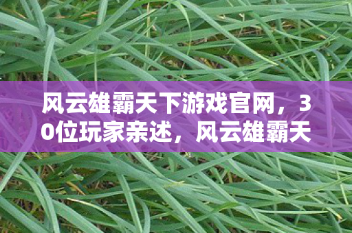 风云雄霸天下游戏官网,30位玩家亲述,风云雄霸天下新版本疑云,这操作谁能绷得住? 风云雄霸天下游戏官网,30位玩家亲述,风云雄霸天下新版本疑云,这操作谁能绷得住?