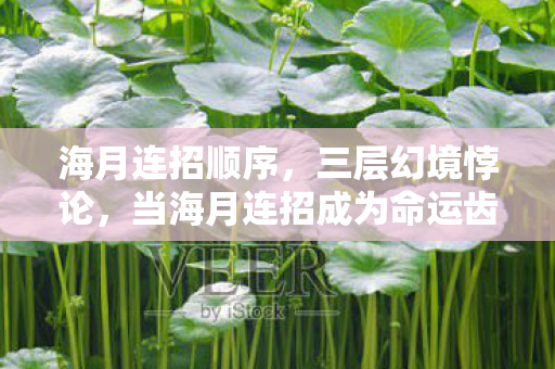 海月连招顺序,三层幻境悖论,当海月连招成为命运齿轮的自由悖论 海月连招顺序,三层幻境悖论,当海月连招成为命运齿轮的自由悖论
