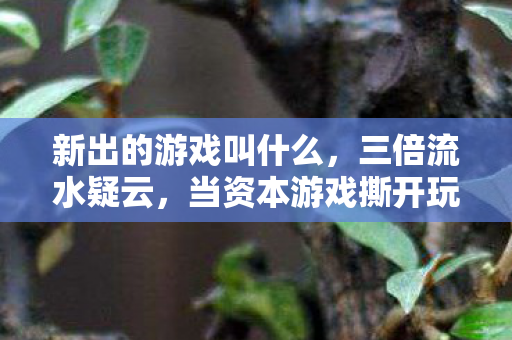 新出的游戏叫什么,三倍流水疑云,当资本游戏撕开玩家信任,谁在操控这场狂欢? 新出的游戏叫什么,三倍流水疑云,当资本游戏撕开玩家信任,谁在操控这场狂欢?