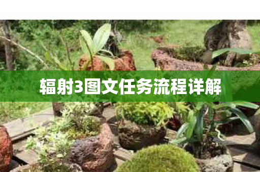 辐射3图文任务流程详解图片