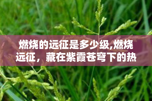 燃烧的远征是多少级,燃烧远征,藏在紫霞苍穹下的热血旧梦 燃烧的远征是多少级,燃烧远征,藏在紫霞苍穹下的热血旧梦