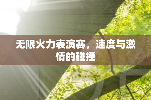 速度与激情的碰撞图片