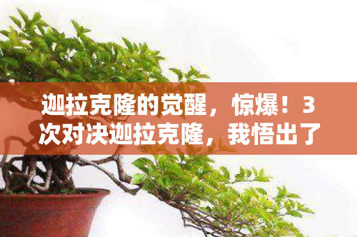 迦拉克隆的觉醒,惊爆!3次对决迦拉克隆,我悟出了这3个震撼心灵的真相! 迦拉克隆的觉醒,惊爆!3次对决迦拉克隆,我悟出了这3个震撼心灵的真相!