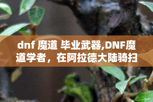dnf 魔道 毕业武器,DNF魔道学者,在阿拉德大陆骑扫把撒欢的魔法发明家 dnf 魔道 毕业武器,DNF魔道学者,在阿拉德大陆骑扫把撒欢的魔法发明家