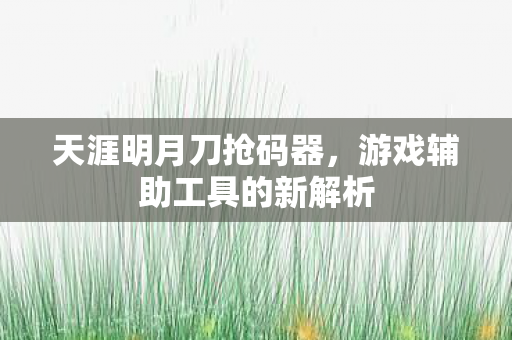 游戏辅助工具的新解析图片