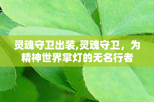 灵魂守卫出装,灵魂守卫，为精神世界掌灯的无名行者