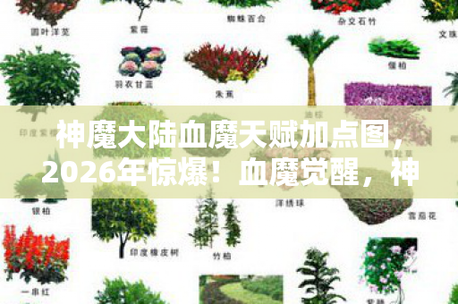 神魔大陆血魔天赋加点图,2026年惊爆!血魔觉醒,神魔大陆将陷无尽恐慌? 神魔大陆血魔天赋加点图,2026年惊爆!血魔觉醒,神魔大陆将陷无尽恐慌?