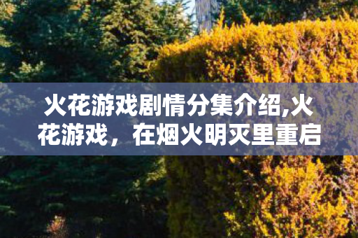 火花游戏剧情分集介绍,火花游戏，在烟火明灭里重启的青春成长叙事
