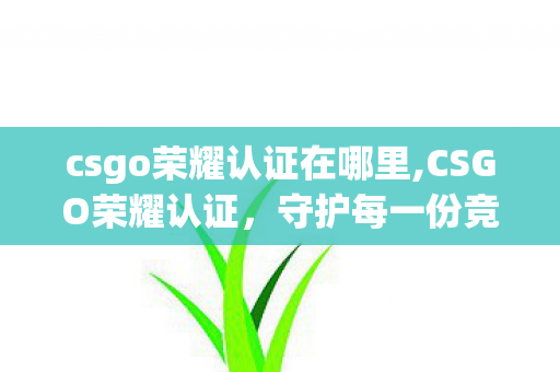 csgo荣耀认证在哪里,CSGO荣耀认证，守护每一份竞技热爱的公平底色