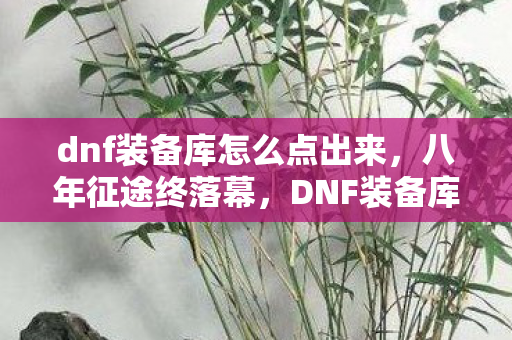 dnf装备库怎么点出来,八年征途终落幕,DNF装备库谜影散,泪目无声 dnf装备库怎么点出来,八年征途终落幕,DNF装备库谜影散,泪目无声