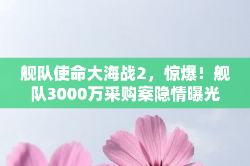 舰队使命大海战2，惊爆！舰队3000万采购案隐情曝光，这操作真让人吓一跳！