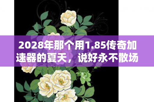 2028年那个用1.85传奇加速器的夏天，说好永不散场，如今只剩鼻子一酸