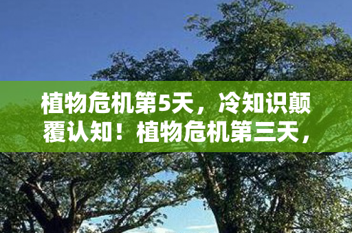 植物危机第5天,冷知识颠覆认知!植物危机第三天,这些设计让你目瞪口呆 植物危机第5天,冷知识颠覆认知!植物危机第三天,这些设计让你目瞪口呆