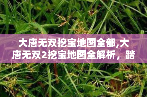 大唐无双挖宝地图全部,大唐无双2挖宝地图全解析,踏遍河山寻秘宝的江湖奇遇 大唐无双挖宝地图全部,大唐无双2挖宝地图全解析,踏遍河山寻秘宝的江湖奇遇