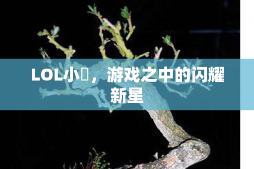 游戏之中的闪耀新星图片