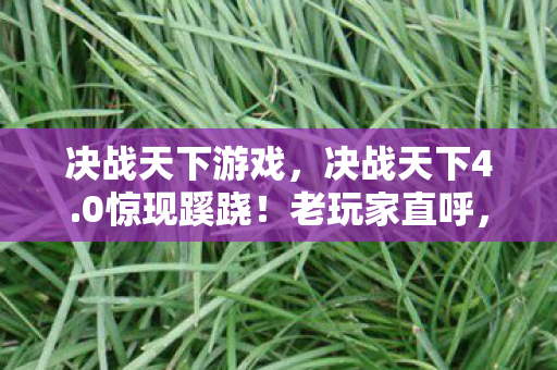 决战天下游戏,决战天下4.0惊现蹊跷!老玩家直呼,这波更新我裂开了 决战天下游戏,决战天下4.0惊现蹊跷!老玩家直呼,这波更新我裂开了