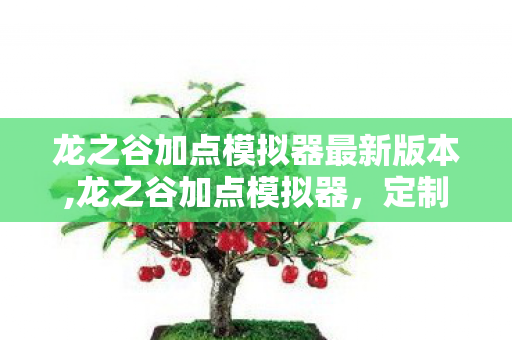 龙之谷加点模拟器最新版本,龙之谷加点模拟器,定制专属职业成长路线的实用辅助工具 龙之谷加点模拟器最新版本,龙之谷加点模拟器,定制专属职业成长路线的实用辅助工具