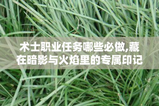 术士职业任务哪些必做,藏在暗影与火焰里的专属印记,那些年我们追过的术士职业任务 术士职业任务哪些必做,藏在暗影与火焰里的专属印记,那些年我们追过的术士职业任务