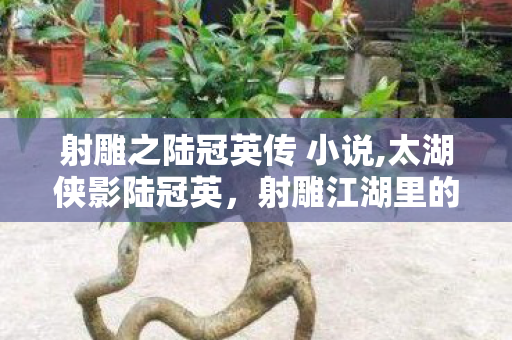 射雕之陆冠英传 小说,太湖侠影陆冠英,射雕江湖里的烟火侠路 射雕之陆冠英传 小说,太湖侠影陆冠英,射雕江湖里的烟火侠路