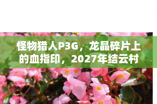 怪物猎人P3G，龙晶碎片上的血指印，2027年结云村悬案，谁在操控猎人成为凶器？