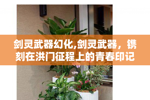 剑灵武器幻化,剑灵武器,镌刻在洪门征程上的青春印记 剑灵武器幻化,剑灵武器,镌刻在洪门征程上的青春印记