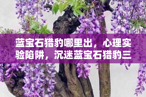 蓝宝石猎豹哪里出,心理实验陷阱,沉迷蓝宝石猎豹三年,细思极恐的自我囚禁 蓝宝石猎豹哪里出,心理实验陷阱,沉迷蓝宝石猎豹三年,细思极恐的自我囚禁
